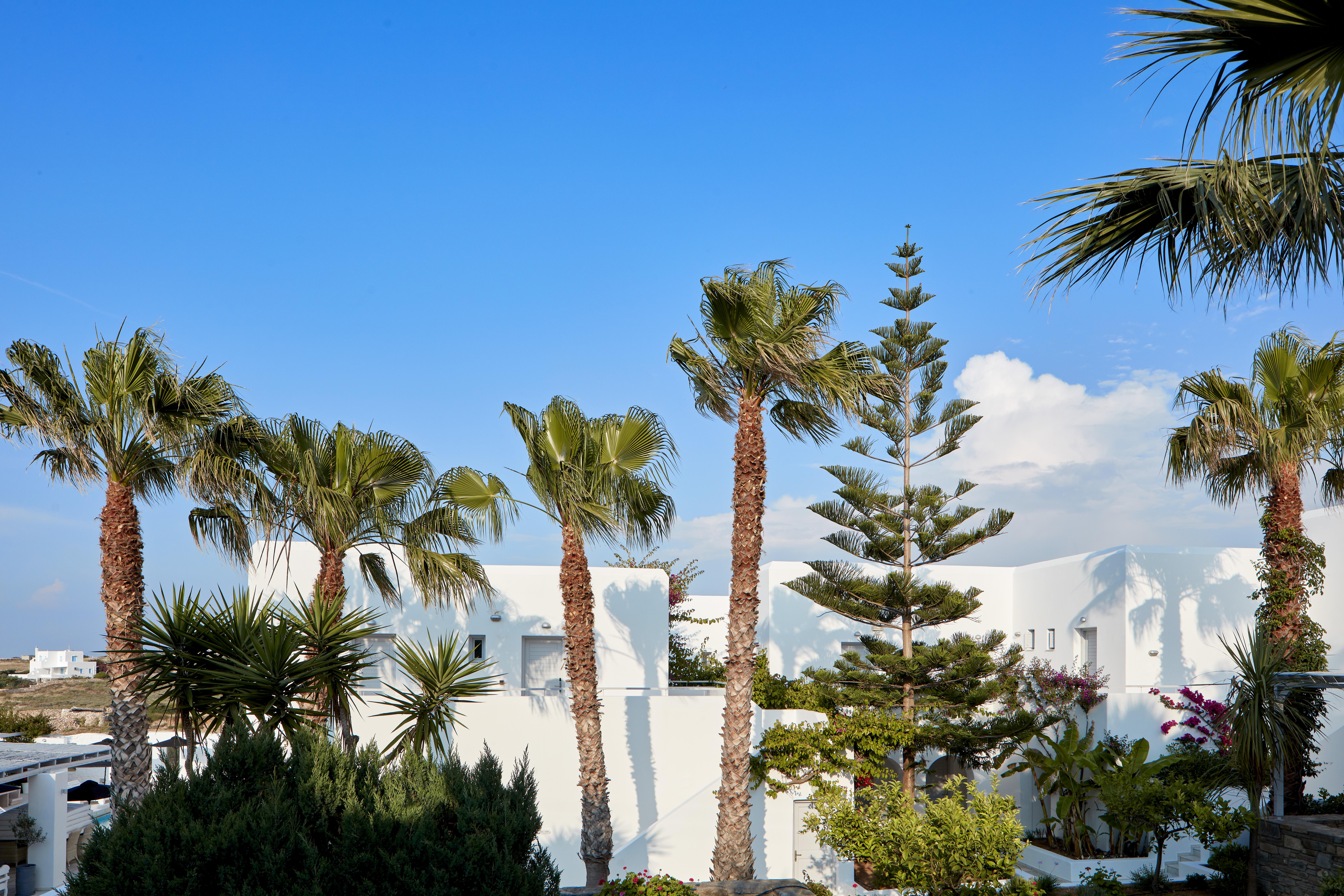 Mr And Mrs White Paros Hotel Náousa Exterior photo