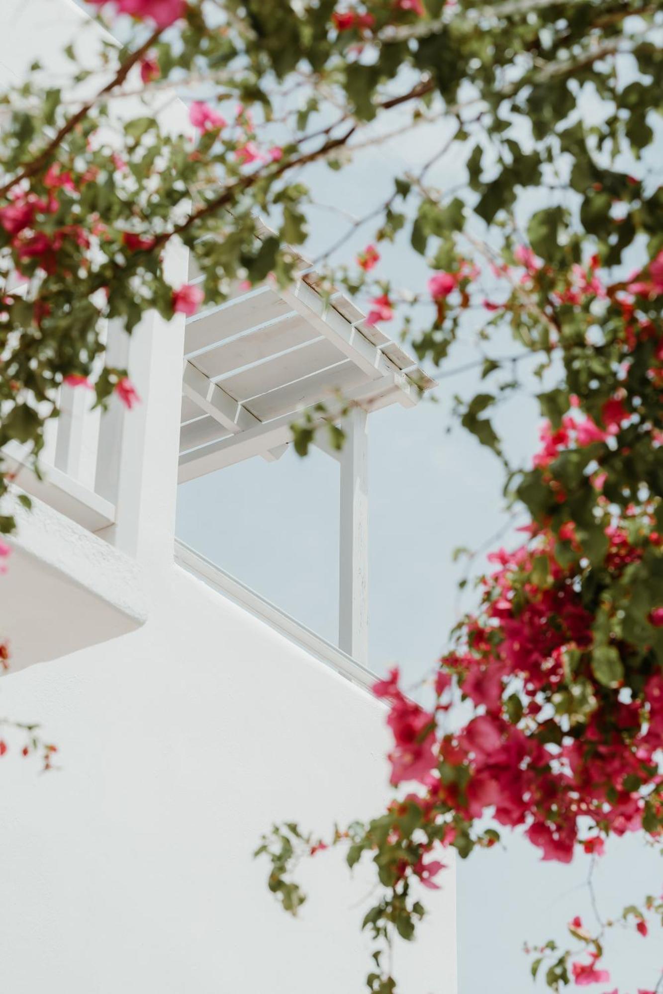Mr And Mrs White Paros Hotel Náousa Exterior photo