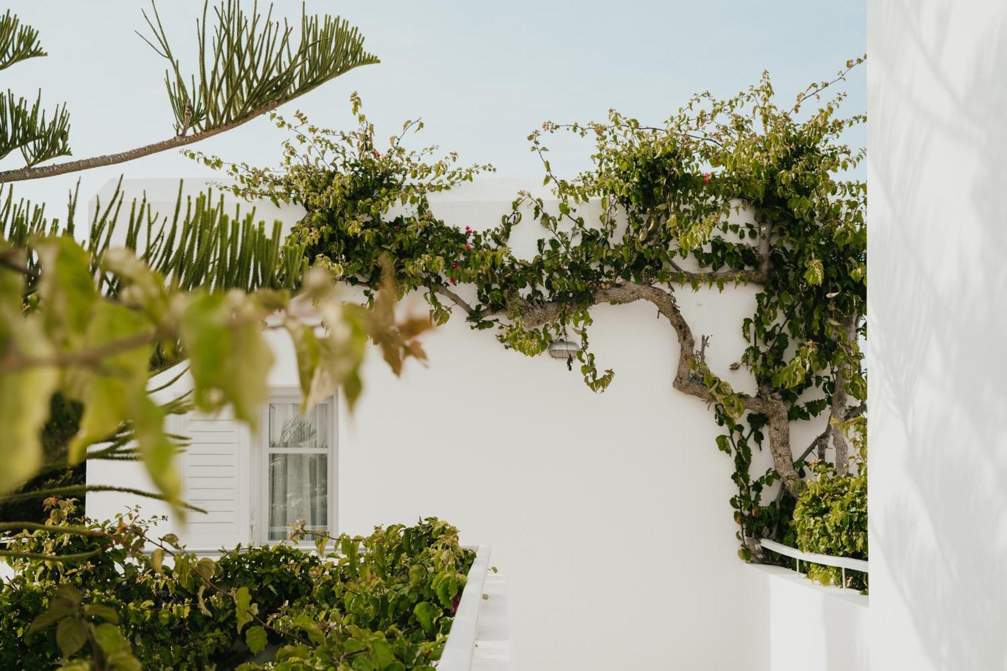 Mr And Mrs White Paros Hotel Náousa Exterior photo